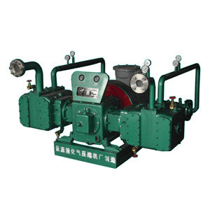 2DG系列特種氣體壓縮機